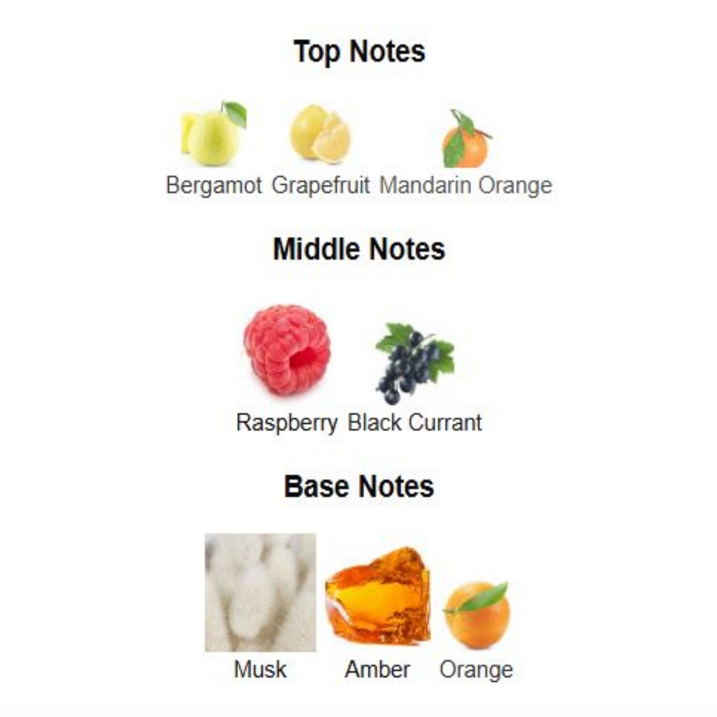 9AM Pour Femme - Afnan