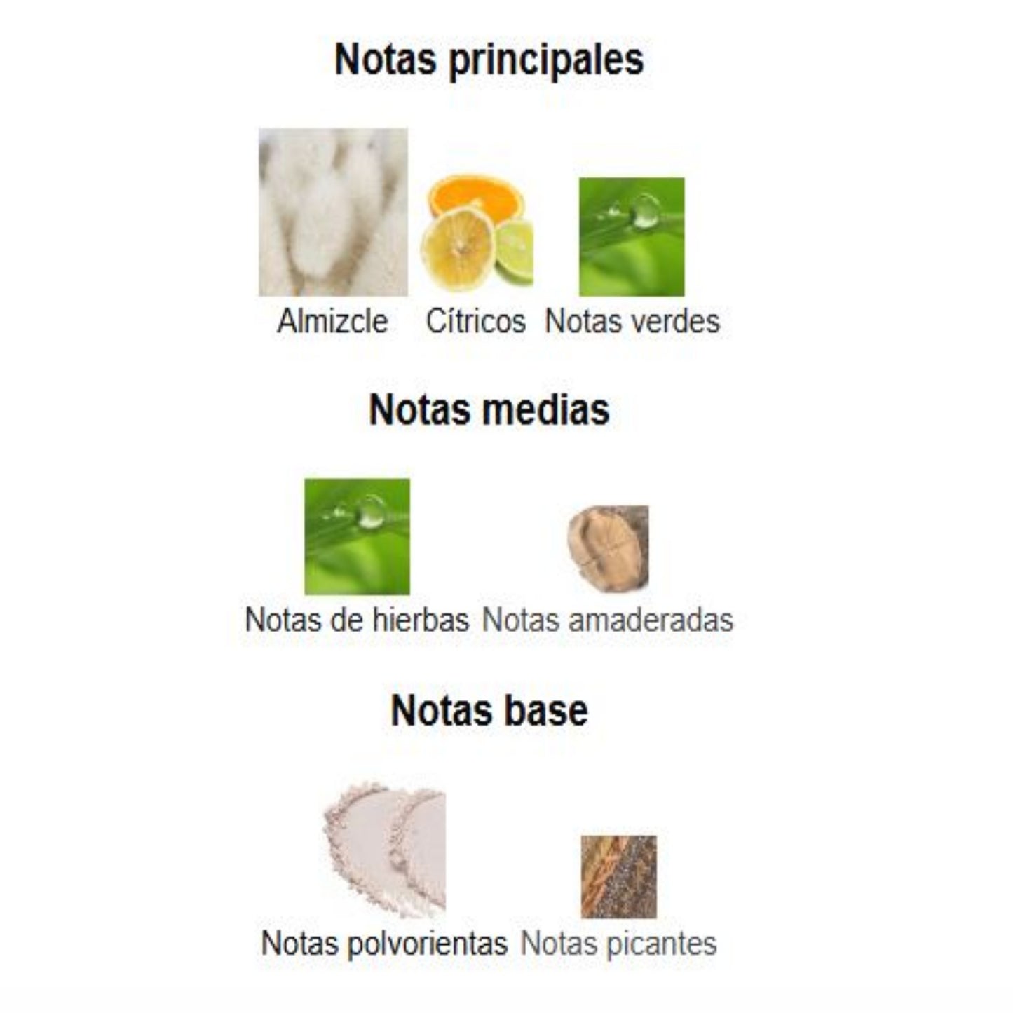 Ameerati - Al Wataniah