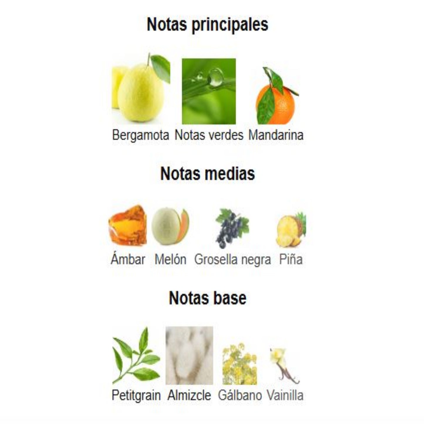 Amber Oud Aqua Dubai - Al Haramain