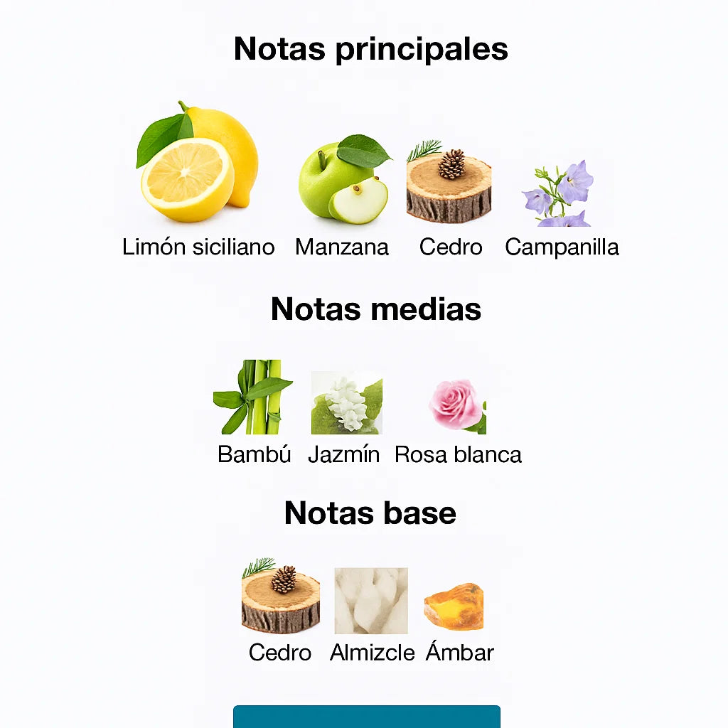 Light Blue - Dolce & Gabbana