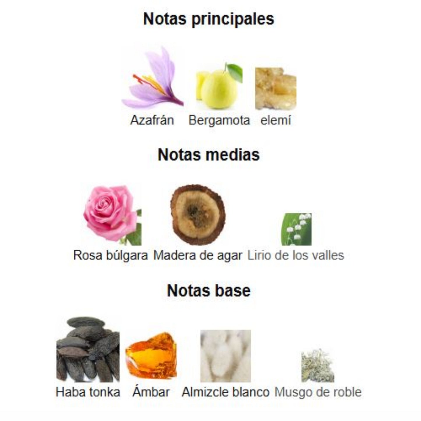 Amber Oud Dubai Night - Al Haramain