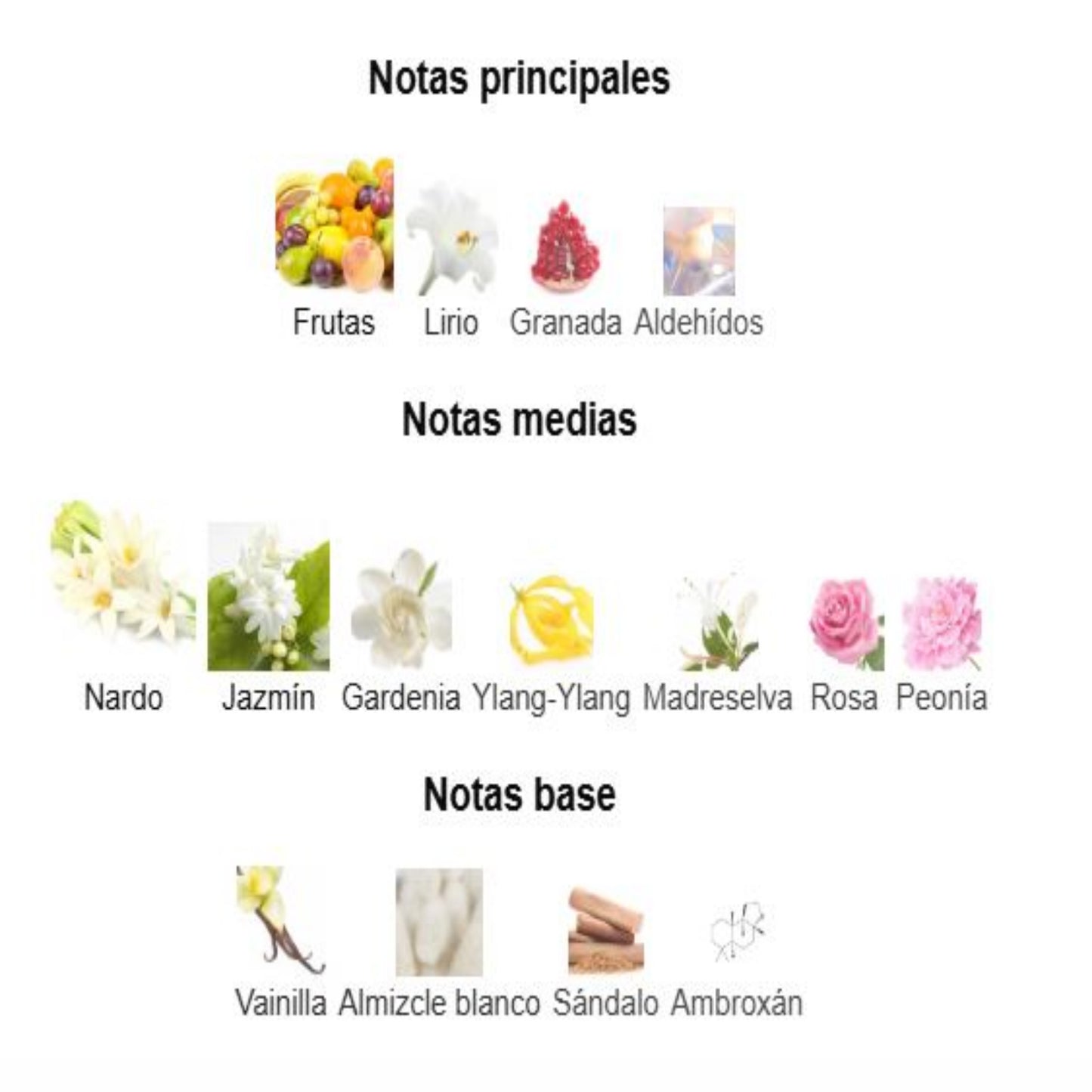 Fakhar Rose Gold - Lattafa