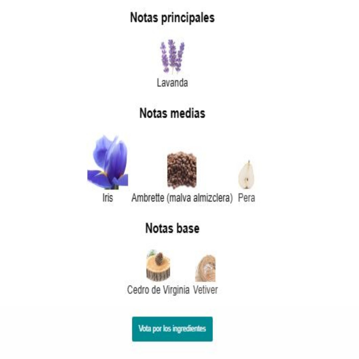 Homme Intense - Dior