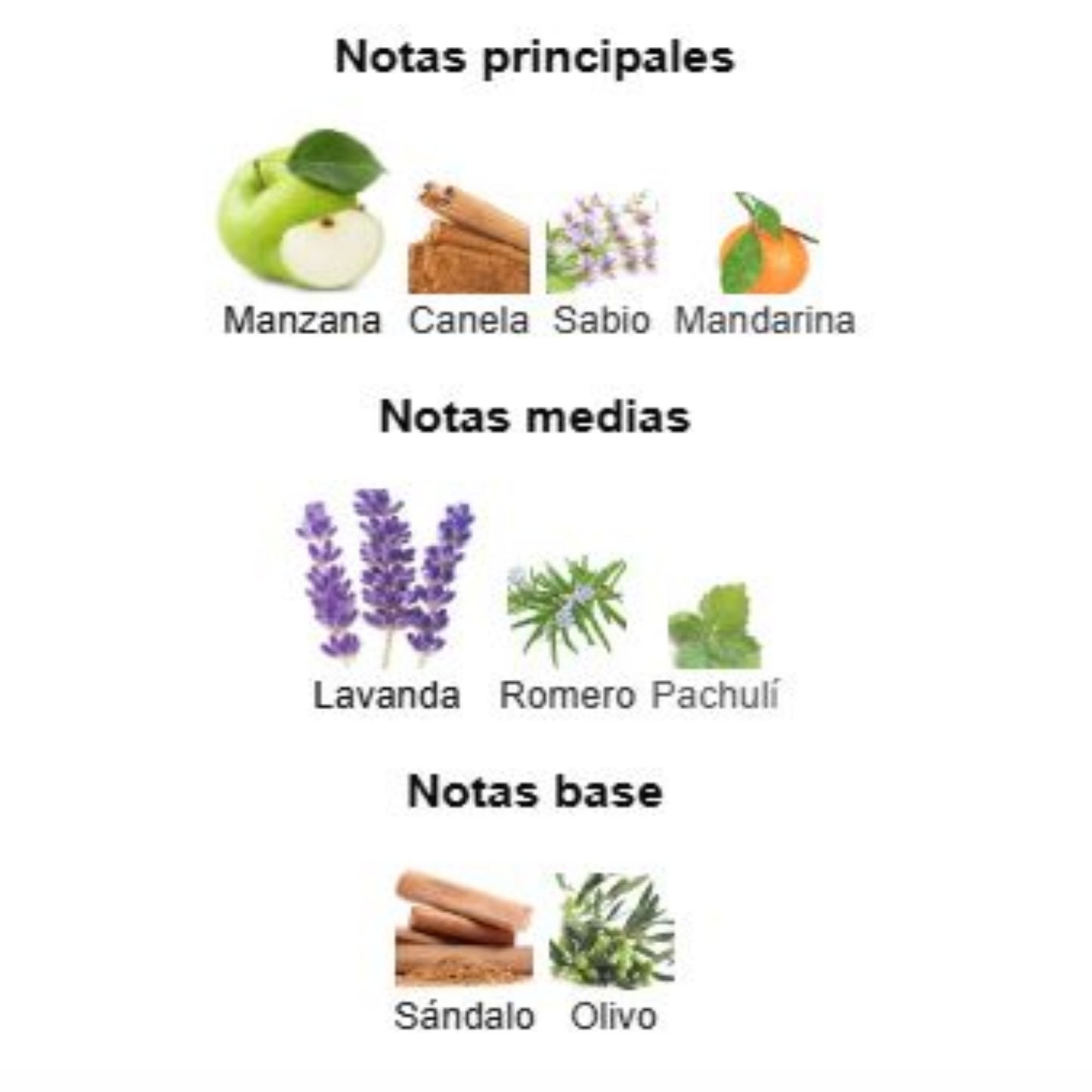 Bottled Infinite - Hugo Boss