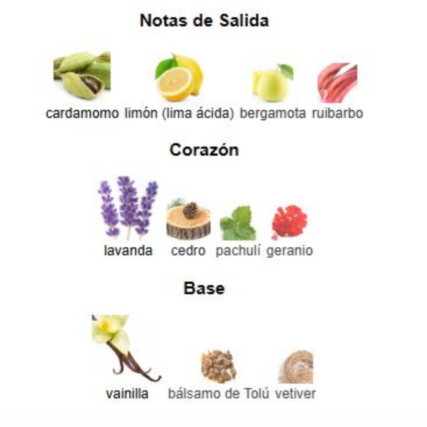 Phantom Intense - Paco Rabanne