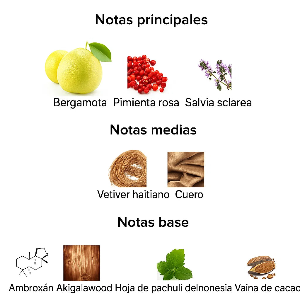 Explorer - Montblanc