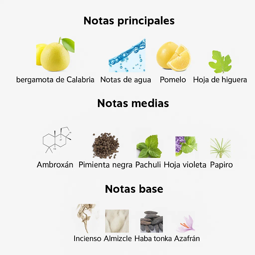 Dylan Blue Pour Homme - Versace