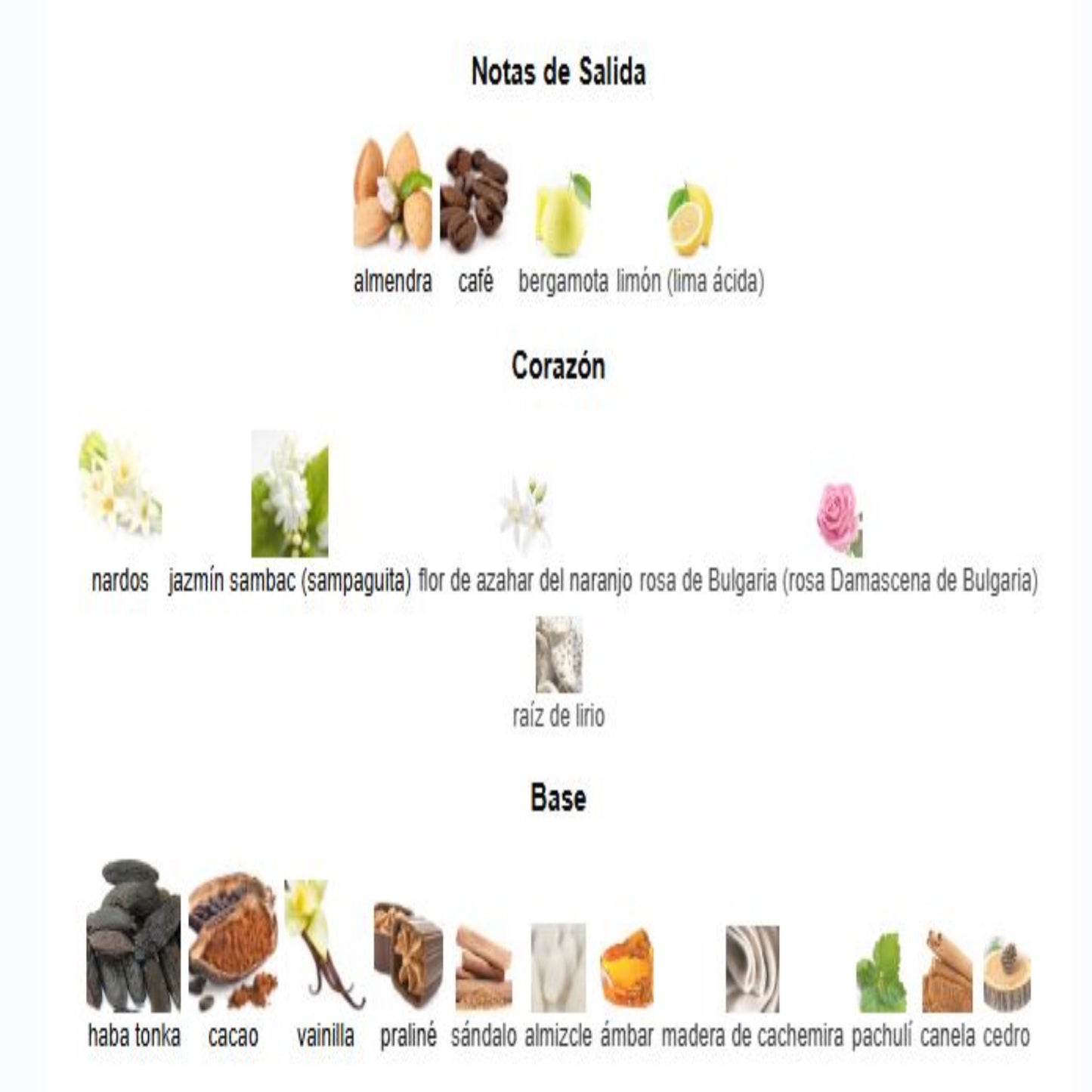 Good Girl EDP - Carolina Herrera