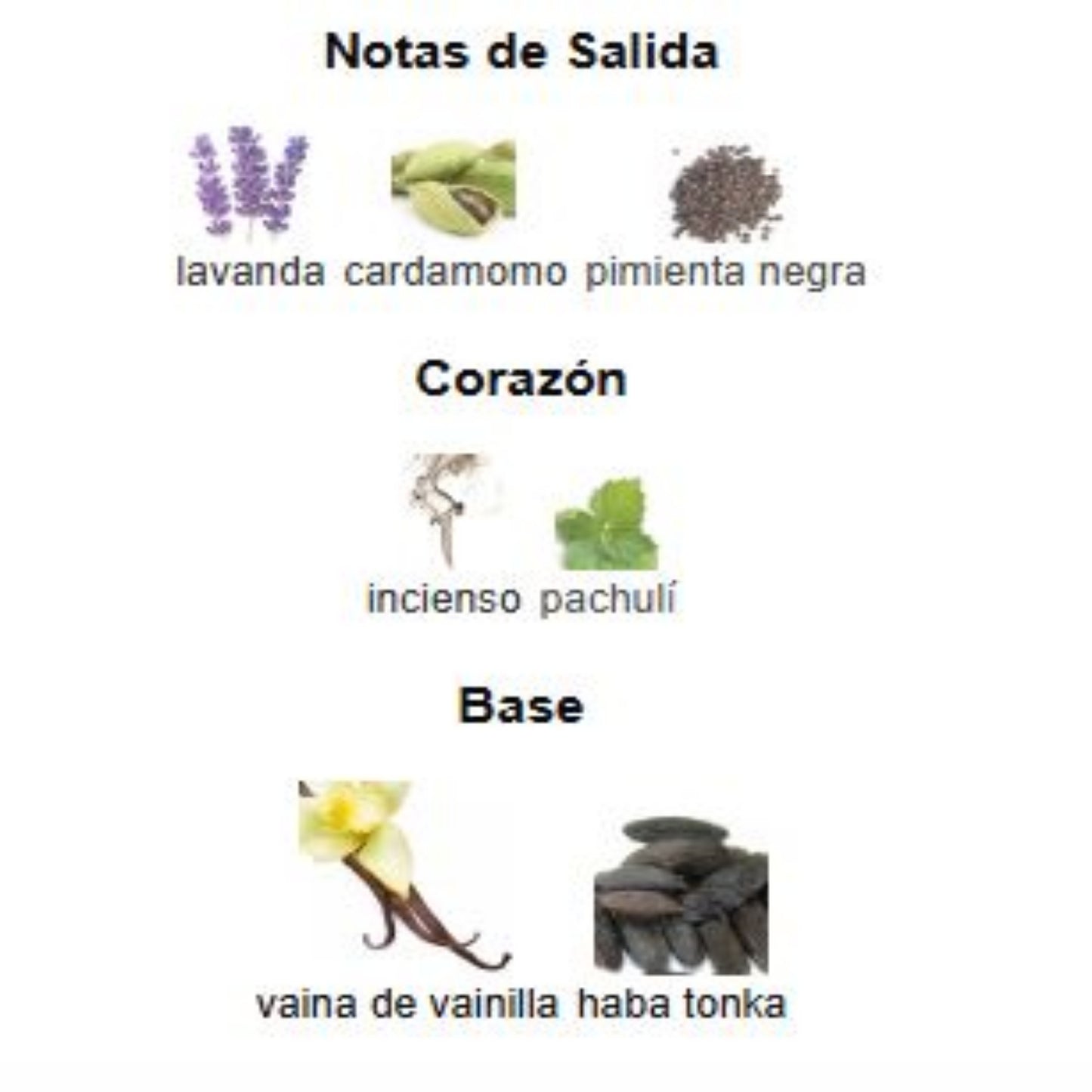 Invictus Victory Elixir - Paco Rabanne