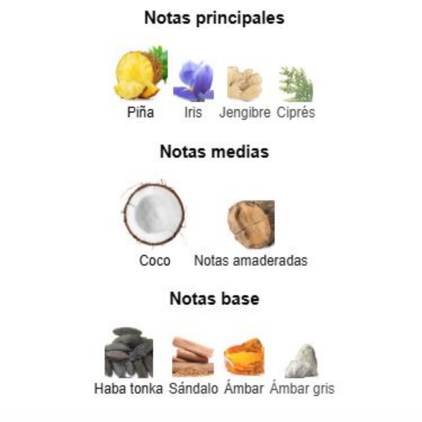 Le Beau Parfum - Jean Paul Gaultier