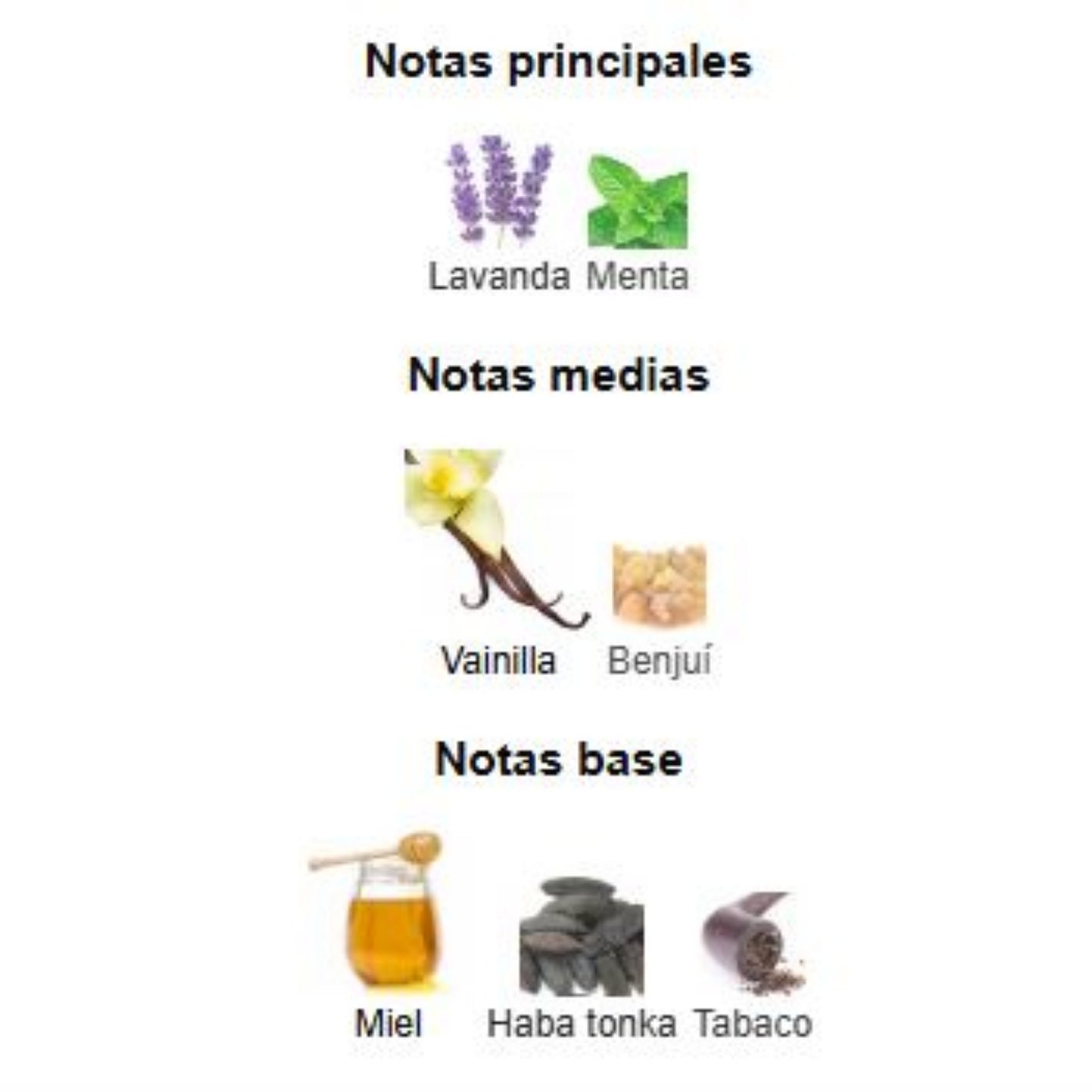 Le Male Elixir - Jean Paul Gaultier